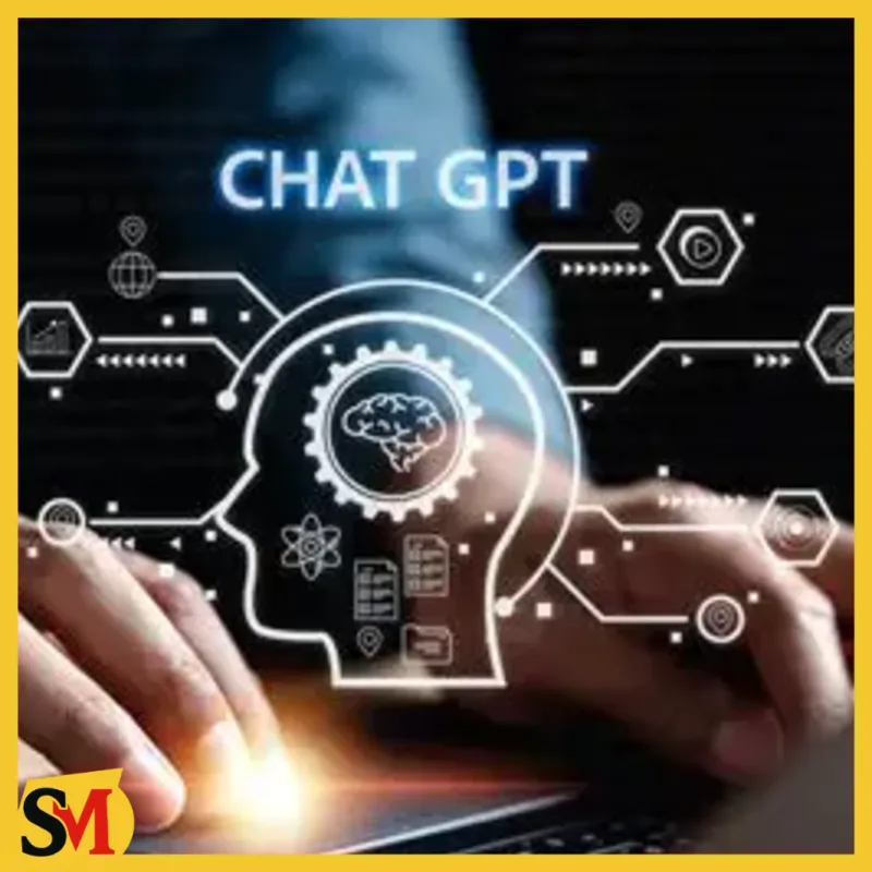 ChatGPT Plus 5.2 | Chat GPT Business | ChatGPT Go