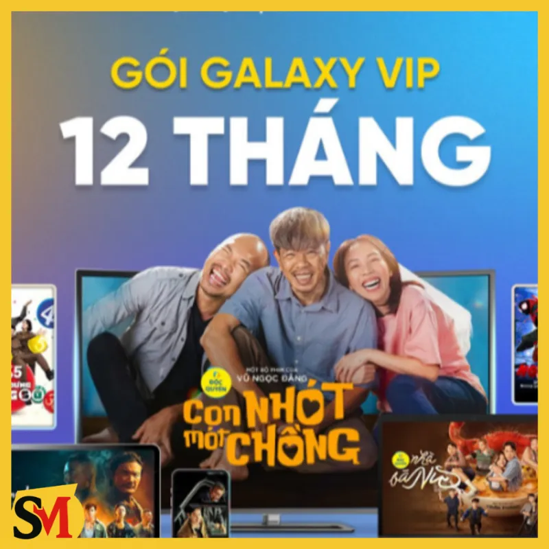 Galaxy VIP 12 tháng