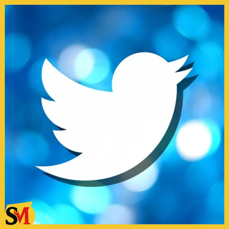 Tài khoản Twitter (X) giá rẻ, Twitter US, Twitter VN, Twitter Siêu Khỏe