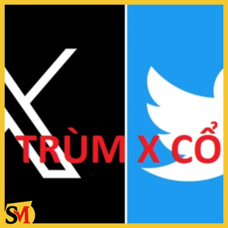 Tài Khoản Twitter ( X ) Từ 6 Tháng Đến 1 Năm Tuổi